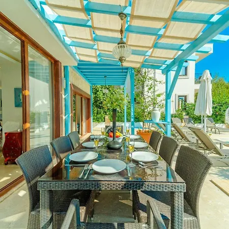 Olivia 빌라 카스